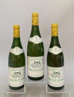 MACON-FUISSE 1993 - Pierre FERRAUD et Fils. 3 bouteilles.