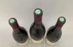 GEVREY CHAMBERTIN 1999 - R. BOUVIER. 3 bouteilles.