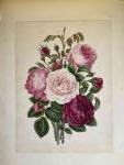 Mathilde CAUCHY (1823-1906). ALBUM à l'Italienne contenant 48 DESSINS (fusain,...