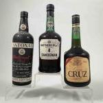 3 bouteilles PORTOS DIVERS SANDEMANS, ANTONAT, et Gran CRUZ