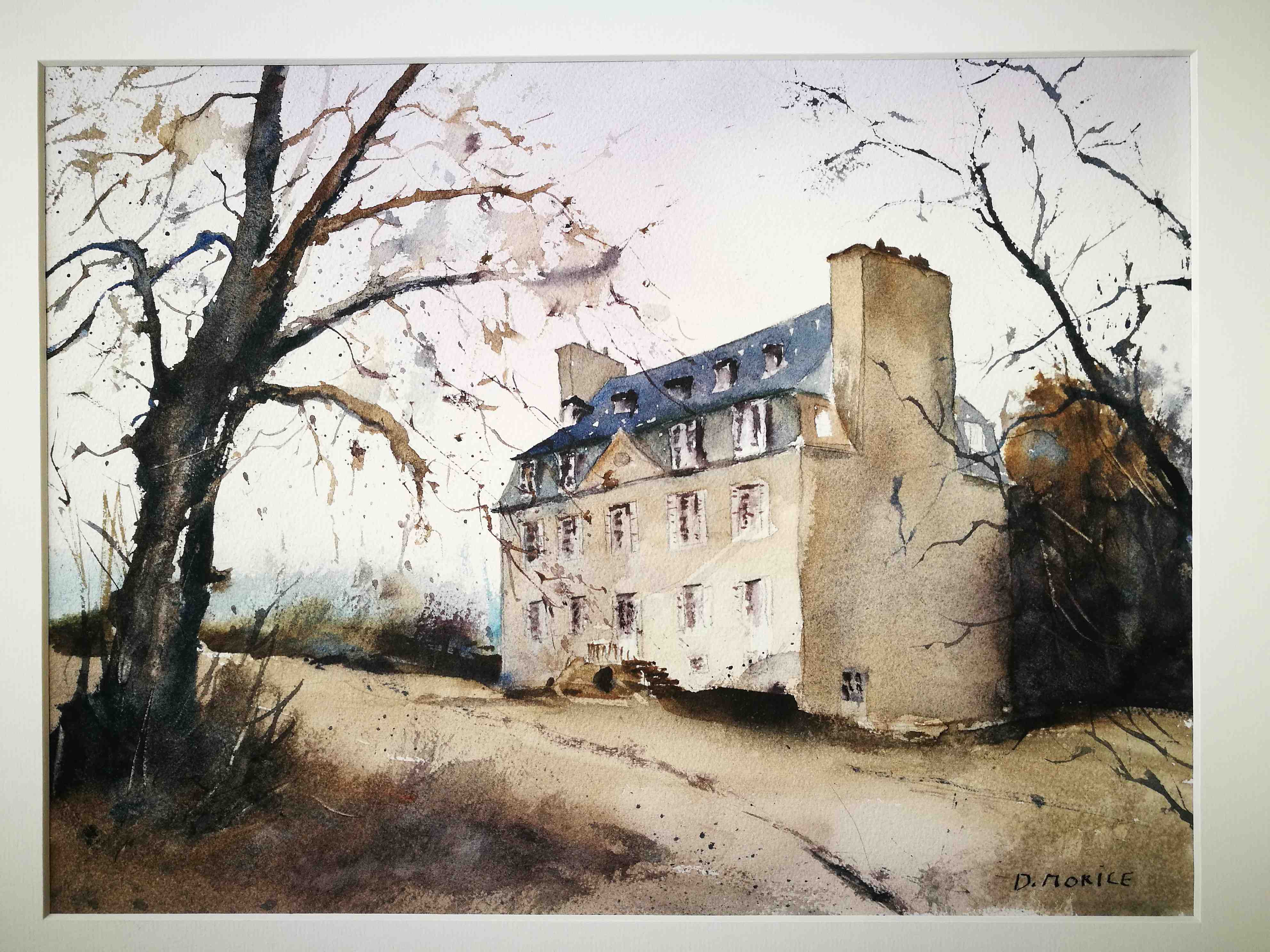 Daniel MORICE. 
Château de Kerhir vu de la barrière blanche....