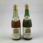 2 bouteilles MUSCADET GENDRON Frères, 1964. Niveaux à 5 cm.