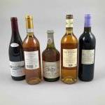 5 Vins de France Divers dont Château CHALON 1991 BERTHET...
