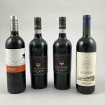 4 bouteilles ESPAGNE et ITALIE divers dont : TOSCANE "Le...