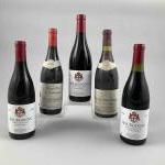 5 bouteilles BOURGOGNE DIVERS dont 3 Pinot Noir - A....