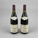 2 bouteilles COTE de NUITS Villages - Domaine de la...