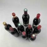 10 bouteilles SAINT ESTEPHE Divers dont : Château LA ROUSSELIERE...